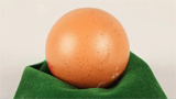 ’Perfectly spherical’ Egg sold for Rs 21,000 in UK